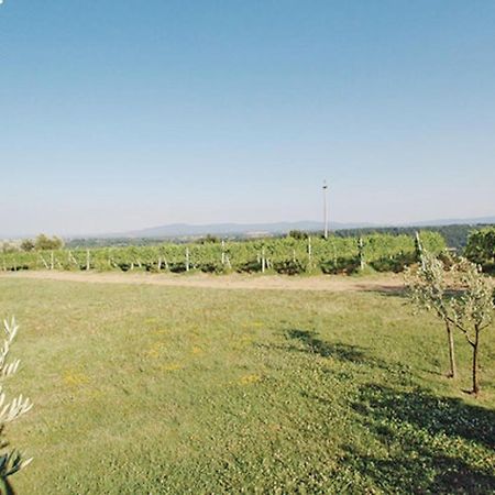 Agriturismo Fattoria Il Piano - Appartamento Aia - San Gimignano Kültér fotó