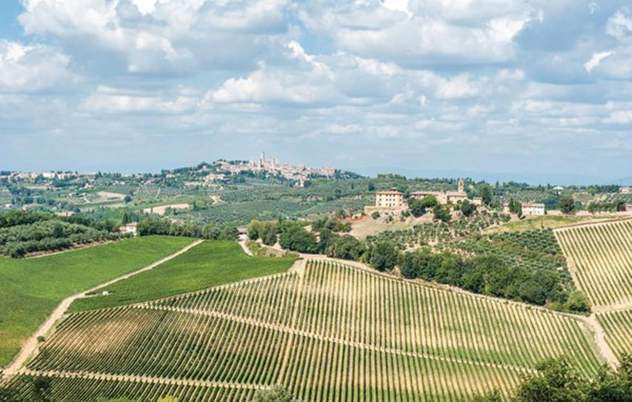 Agriturismo Fattoria Il Piano - Appartamento Aia - San Gimignano Kültér fotó