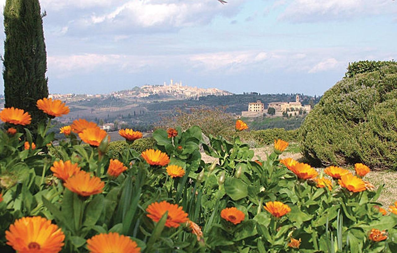 Agriturismo Fattoria Il Piano - Appartamento Aia - San Gimignano Kültér fotó