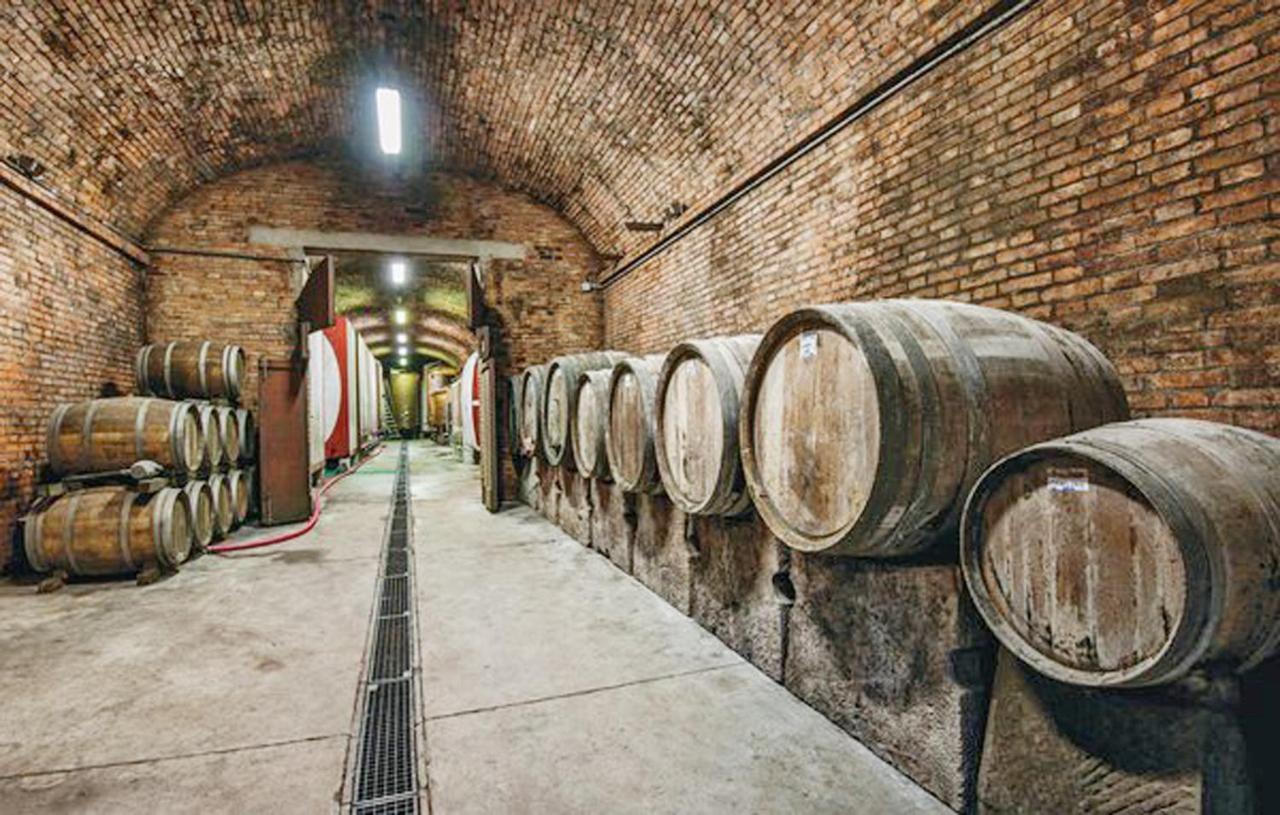Agriturismo Fattoria Il Piano - Appartamento Aia - San Gimignano Kültér fotó